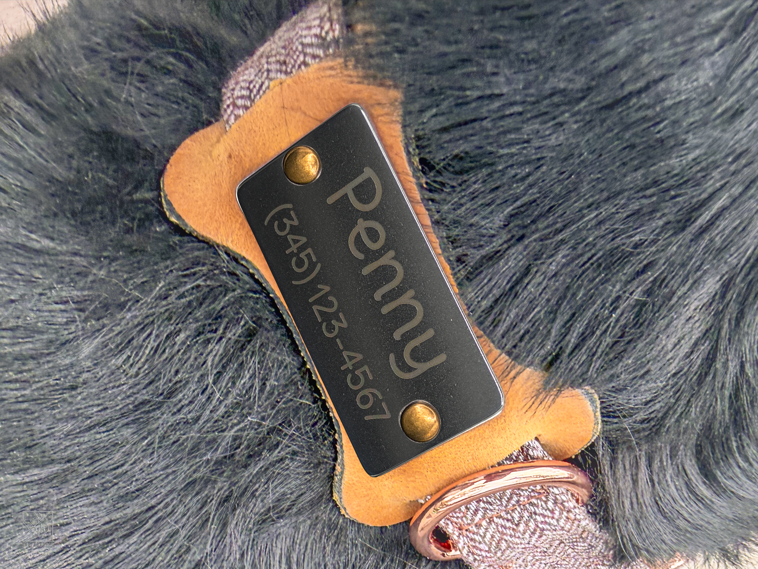 Slide-on Leather/Stainless ID for dog collar (Dog Bone Shape)