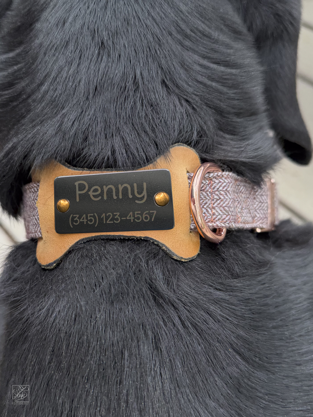 Slide-on Leather/Stainless ID for dog collar (Dog Bone Shape)