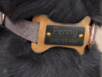Slide-on Leather/Stainless ID for dog collar (Dog Bone Shape)