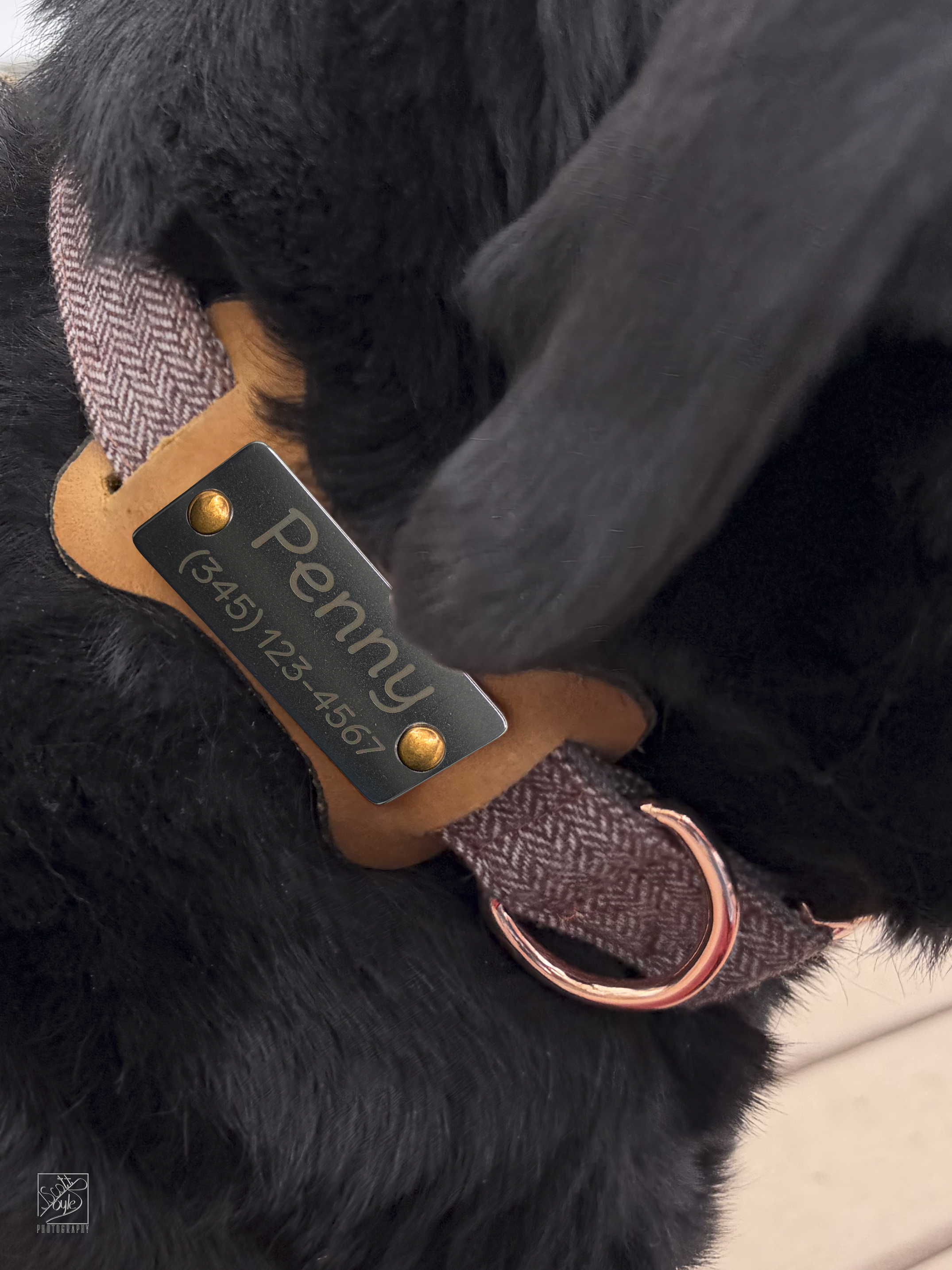 Slide-on Leather/Stainless ID for dog collar (Dog Bone Shape)