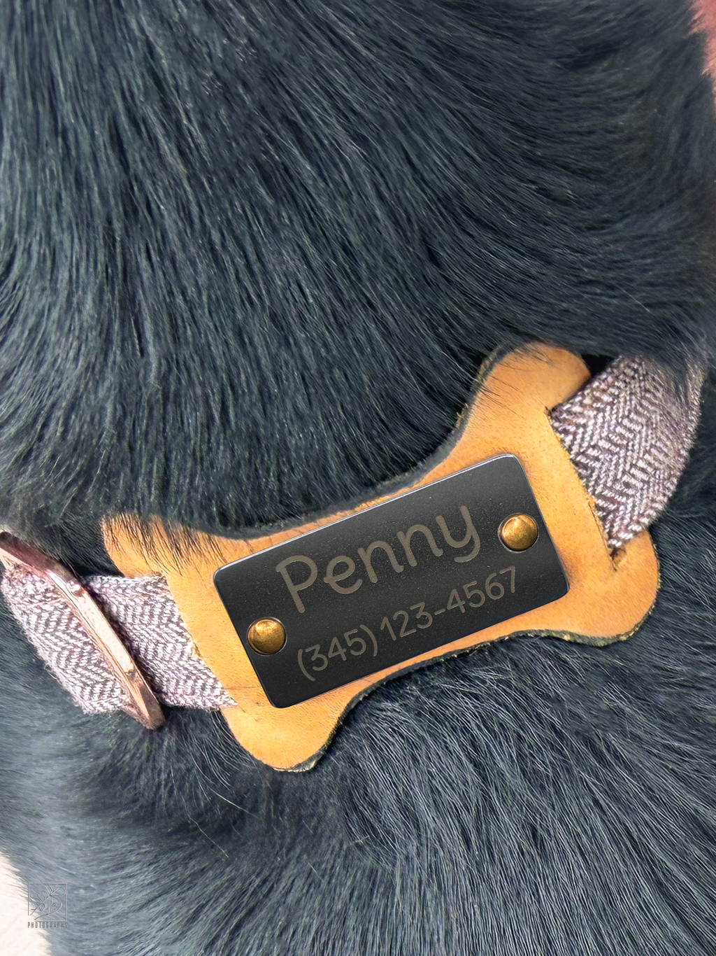 Slide-on Leather/Stainless ID for dog collar (Dog Bone Shape)