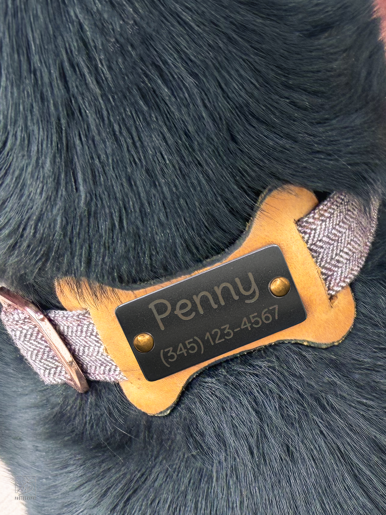 Slide-on Leather/Stainless ID for dog collar (Dog Bone Shape)